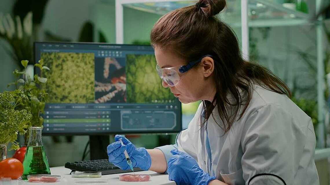 What will we eat for protein in 2030? Inside the next protein revolution 