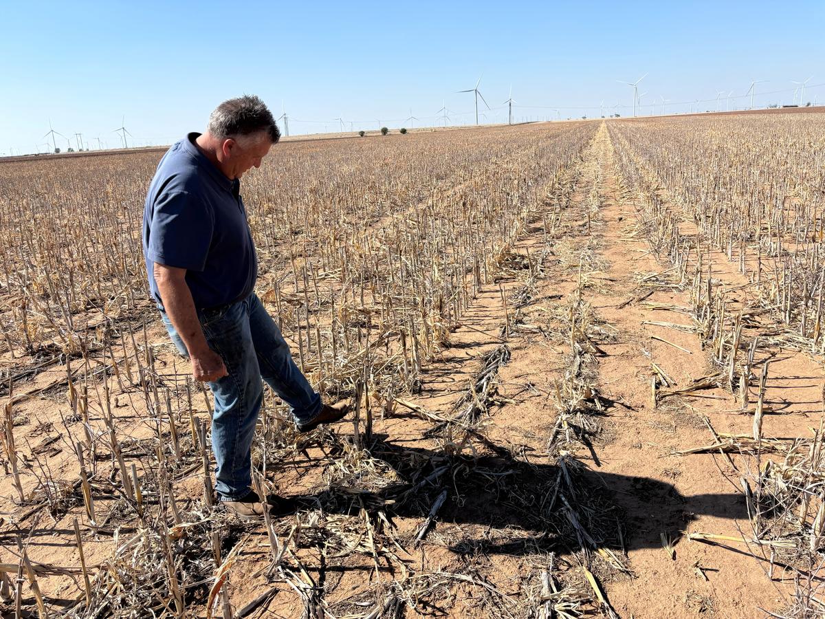 Tom Gregory, who is facing increased costs for fuel, fertilizer and irrigation, on his farm in Petersburg, Texas, U.S., April 21, 2026. REUTERS/Tom Polansek