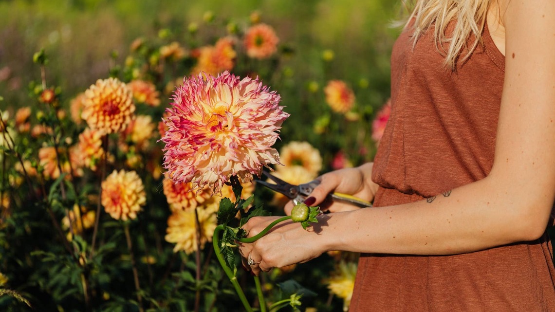 10 Flowers Perfect for a Cutting Garden