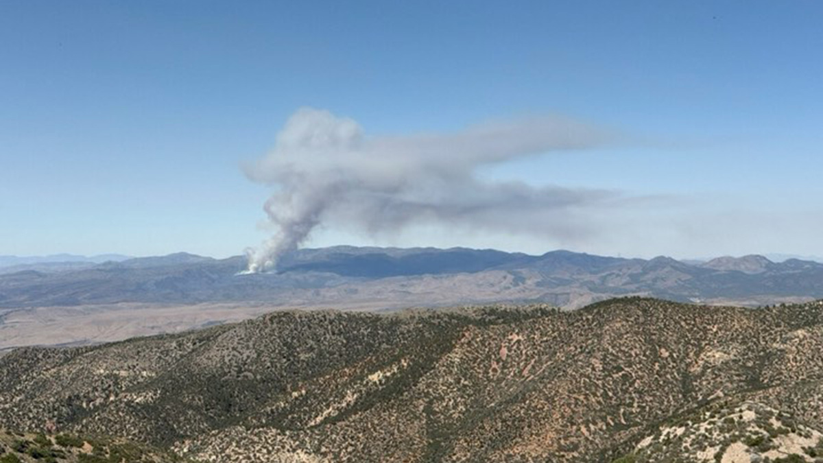 View of the Kane Springs fire, taken June 20, 2026. (U.S. Wildland Fire Service/TNS)