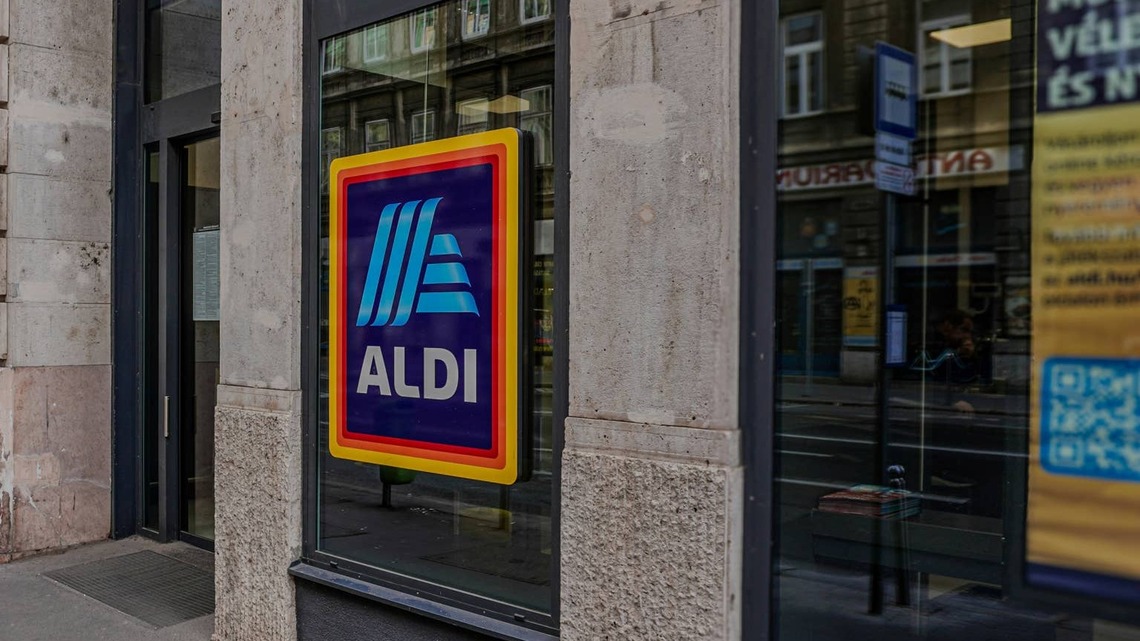 Aldi's Foldable Outdoor Chair Is Made for Lounging With Your Dog 