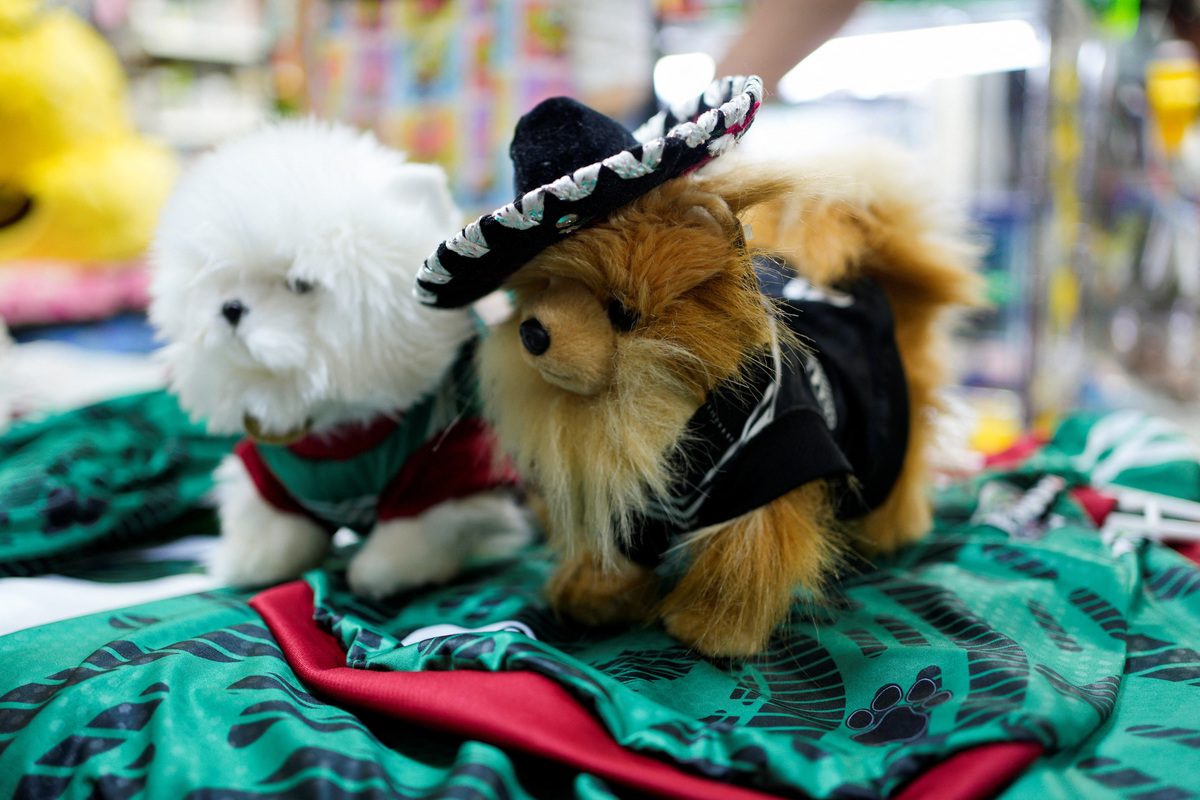 Plush dogs, one wearing a charro hat, are displayed alongside Mexico's national football team jerseys for pets at a store during the 2026 FIFA World Cup, which Mexico is hosting with U.S. and Canada, in Mexico City, Mexico, June 19, 2026. REUTERS/Armando Vega