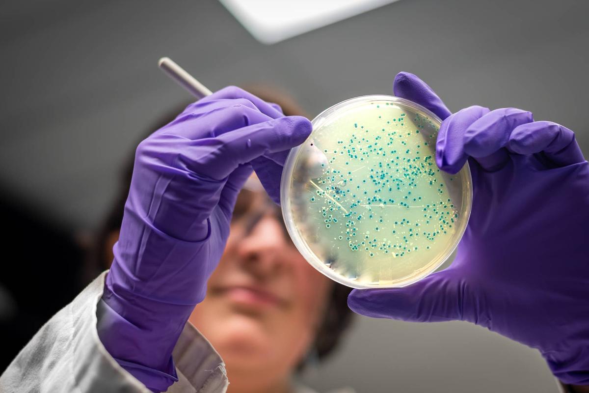 Salmonella can be fatal for the young and elderly and easily spreads through contaminated food and beverages. 