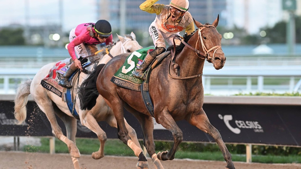 Grade 1 Winner Skippylongstocking to Stand At New York's Amsterdam Two Farm Upon Retirement 
