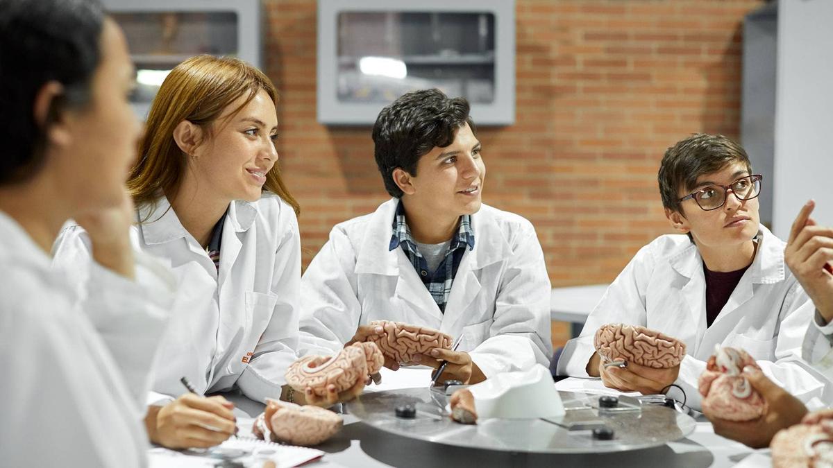  Education Department borrowing limits exclude nursing, physical therapy, and other healthcare graduate programs despite comparable training, costs, and clinical requirements. 