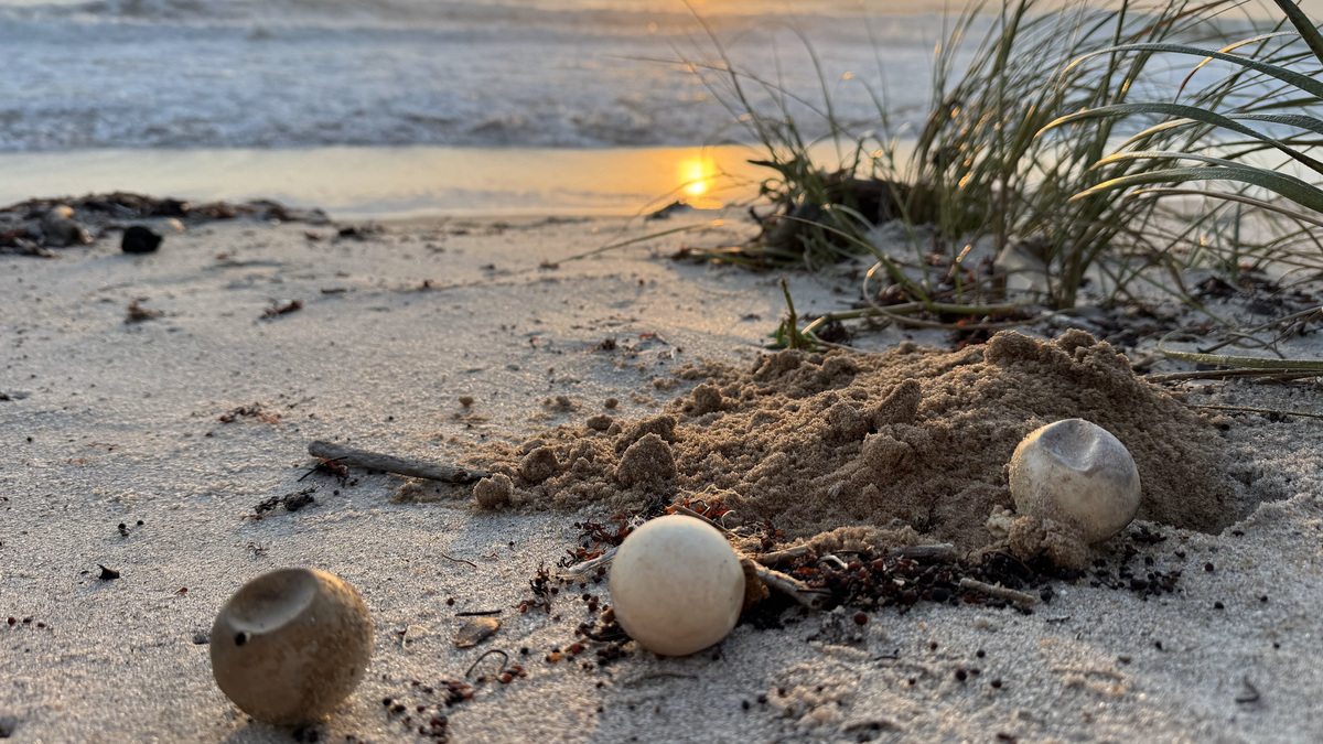 Brevard weekend weather: Strong winds and rain expected Oct. 24-25