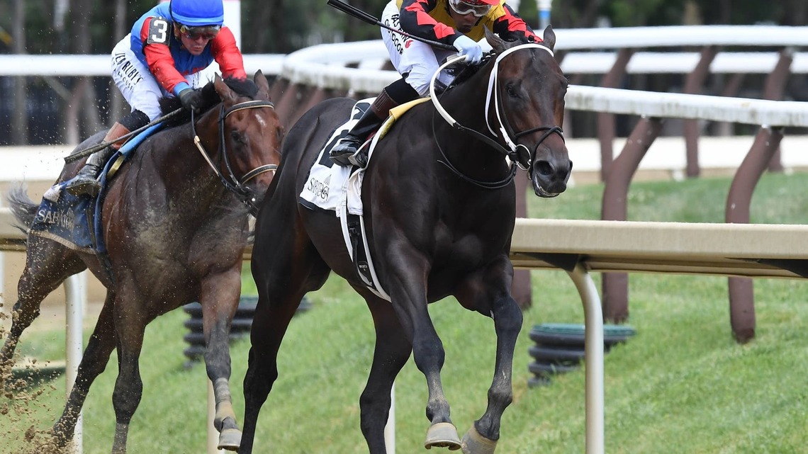 Steve Asmussen Juveniles Summer Starlet, Booked Aimed For Grade 1 Tests 
