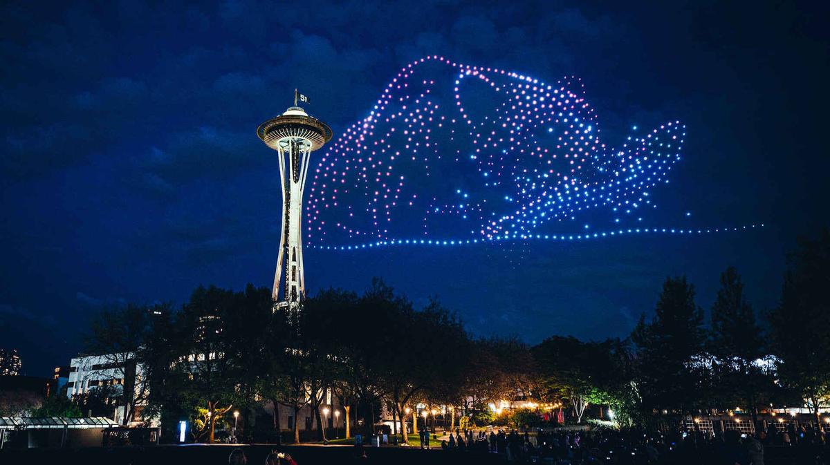  Princess Cruises' Seattle drone show celebrated the wild beauty of Alaska. 