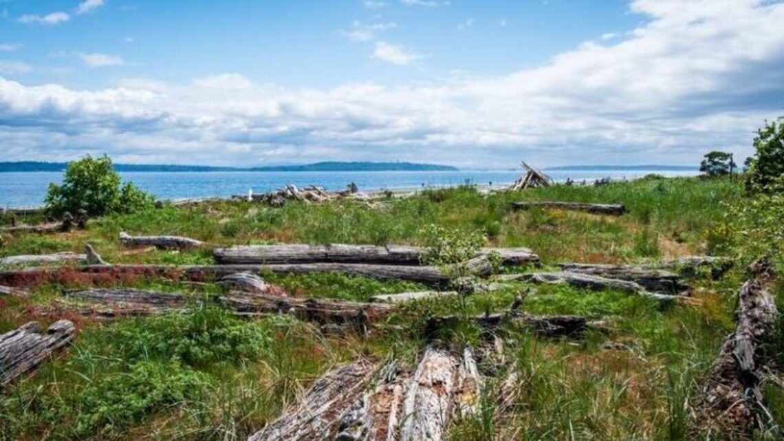 Bainbridge Island for Couples: Top Things to Do, Where to Shop, Eat and Stay 