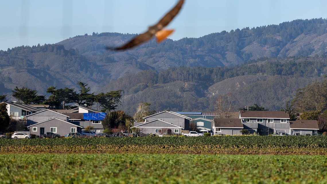 Half Moon Bay voters to decide fate of farmworker housing as state pressure mounts 