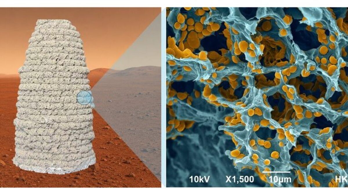 Scientists hope to build houses on Mars using yeast and gelatin