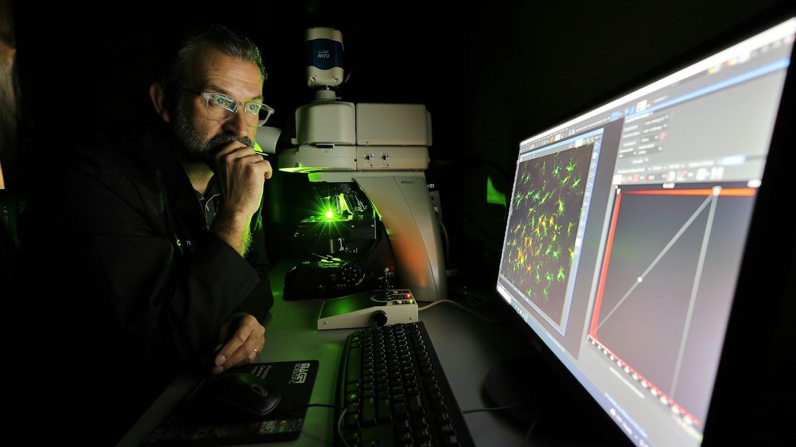 Panicking scientists, canceled experiments – federal funding cuts turned my work as a research dean into crisis management 