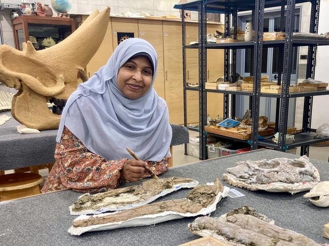  Lead author Sara Saber (Assiut University / MUVP), pictured with the holotype specimen of Wadisuchus kassabi (MUVP 180) at the Mansoura University Vertebrate Paleontology Center, Mansoura, Egypt. (Hesham Sallam via SWNS) 