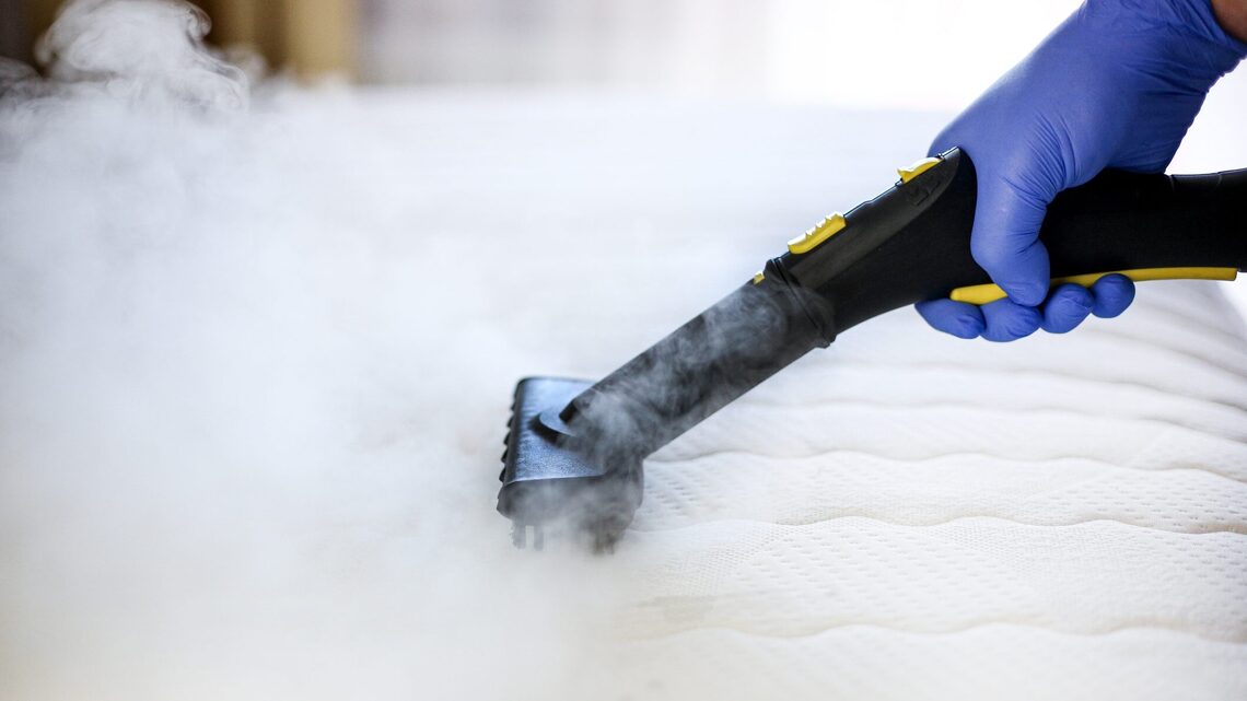 This Bestselling Portable Steam Cleaner Is On Sale for Half Off on Amazon Right Now 