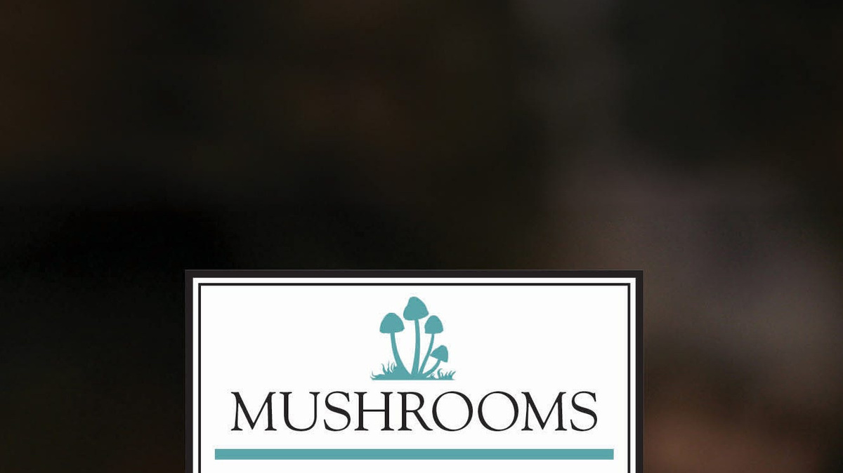 Word from the Smokies: New field guide demystifies mushrooming ...