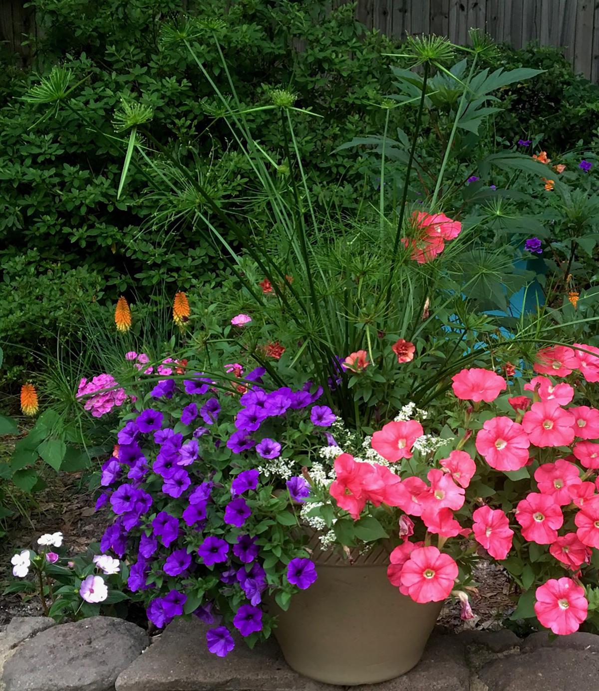 Norman Winter/Norman Winter/TNS