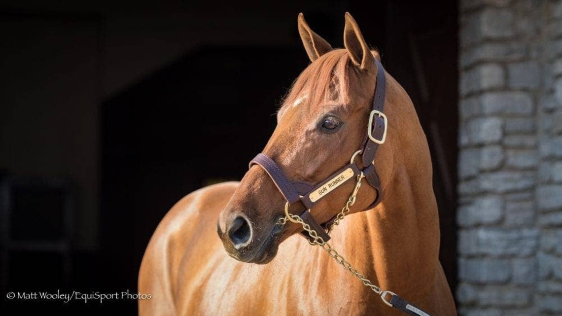 Gun Runner Leads Three Chimneys Farm's 2027 Roster 