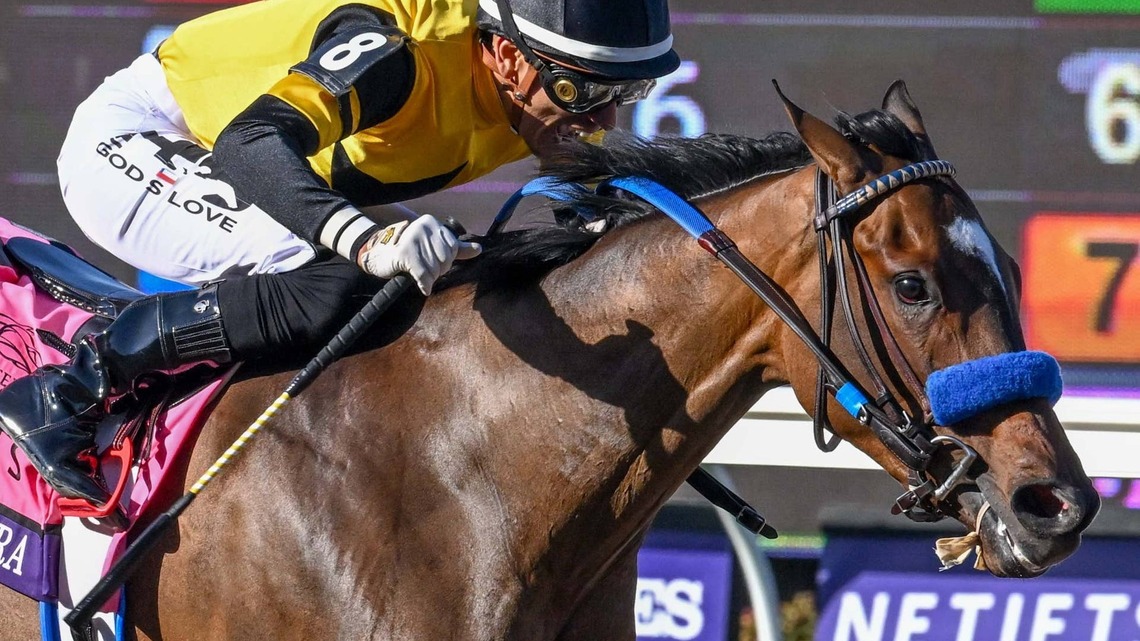 Champion Super Corredora Could Return In Zenyatta 