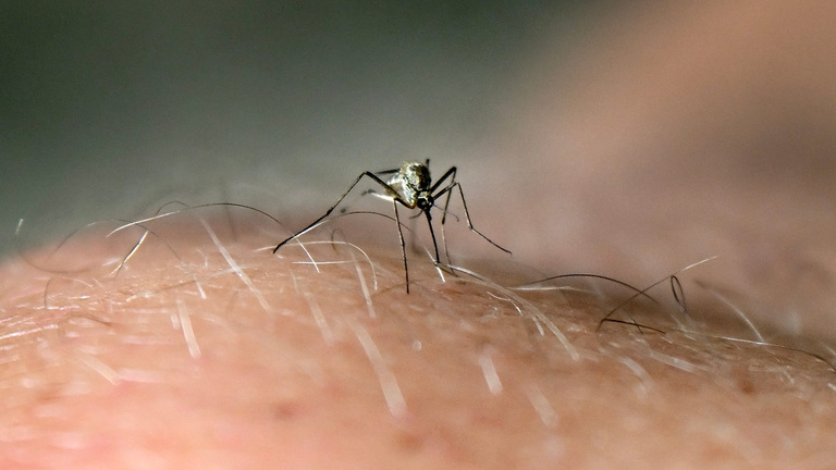 Mosquito abatement spraying tonight in Empire and west of Modesto