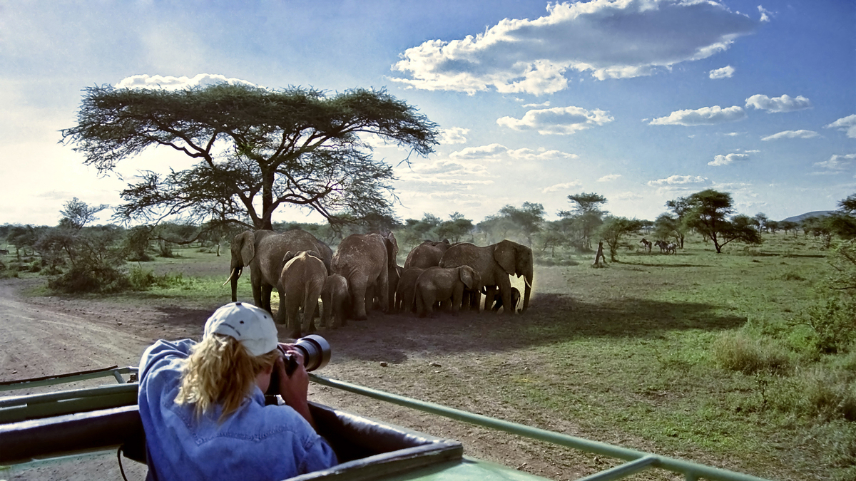 2026 has seen the largest increase in interest in solo travel ever, with 1.6 million searches of “solo travel” during the month of January alone, according to The Luxury Solo Travel Report issued by safari company Go2Africa.