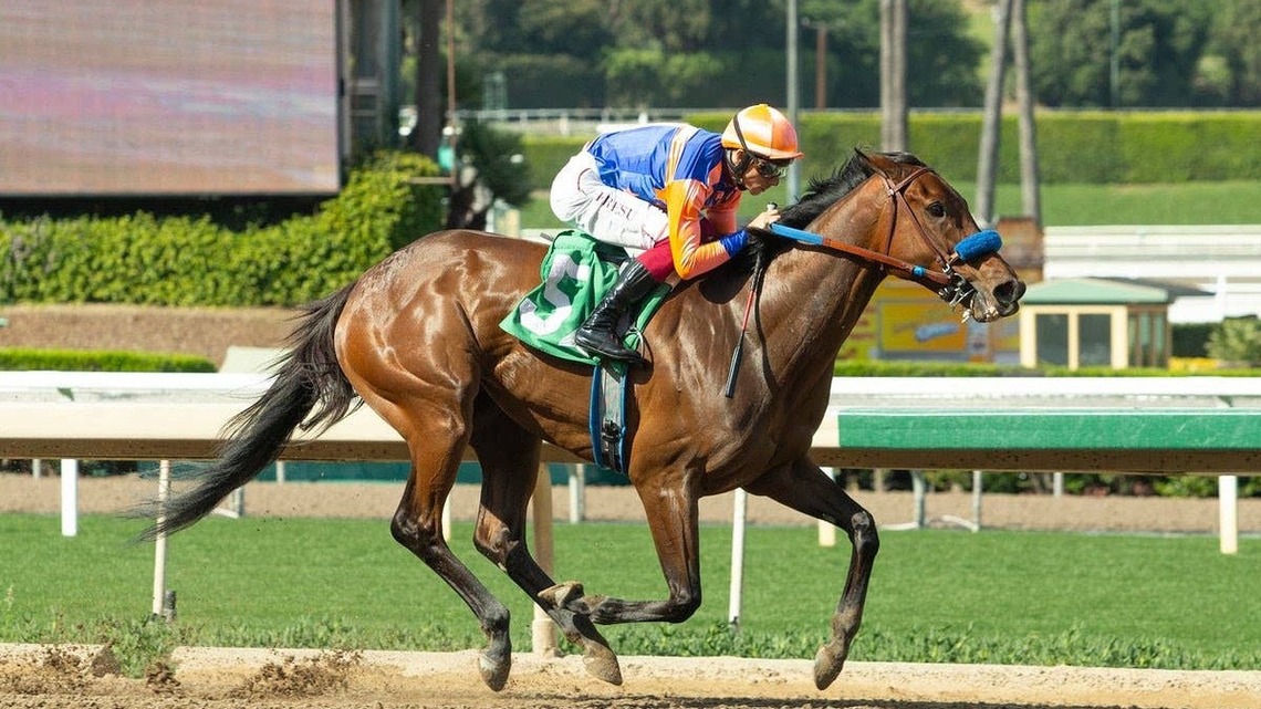 Thermal, Paradise Creek Battle For First Graded Stakes Win In Chillingworth 