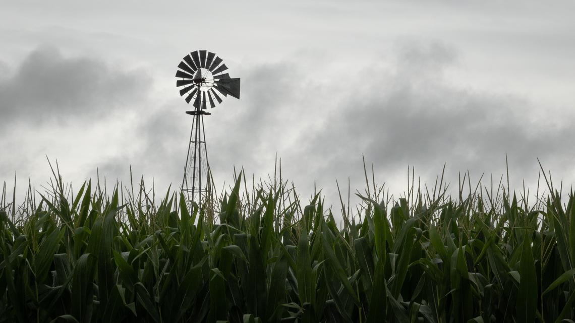 Commentary: How the White House can cut prices at the pump - and elsewhere 