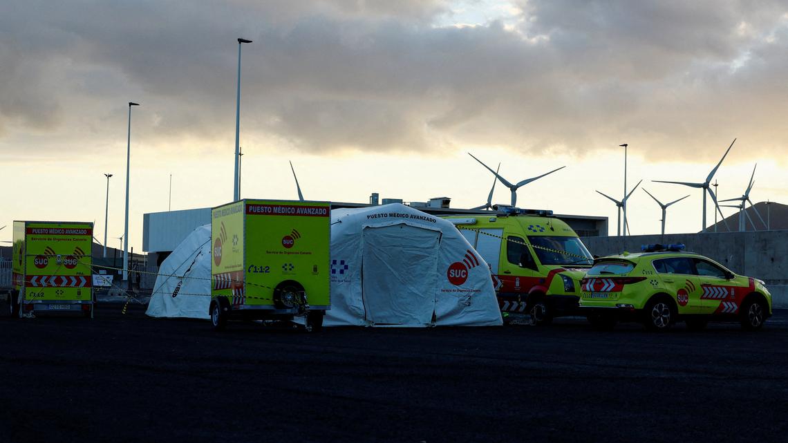 All passengers on hantavirus-hit ship considered high-risk contacts, EU health agency says 
