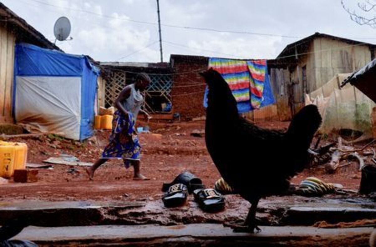 Sister to the late Congolese Pastor Paluku known as "Jeune Patron", whom local authorities believe could be one of the first victims of a new Ebola outbreak involving the Bundibugyo strain and died on February 3, 2026, walks at their courtyard in Quartier Shuni 1, a residential sector, in Mongbwalu, Djugu Territory of Ituri province, Democratic Republic of the Congo, June 4, 2026. REUTERS/Gradel Muyisa Mumbere