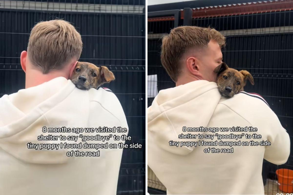  Screenshots from a May 18 TikTok video of a rescuer holding a puppy at the animal shelter, saying his last “goodbye” before adoption. 