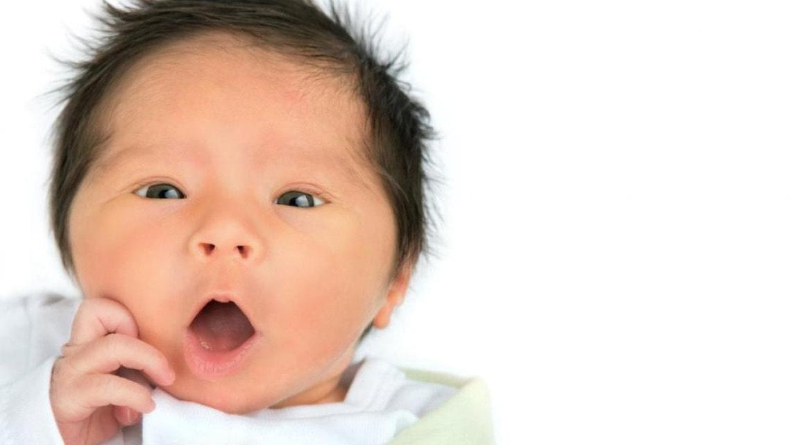  Darren Brode // Shutterstock 