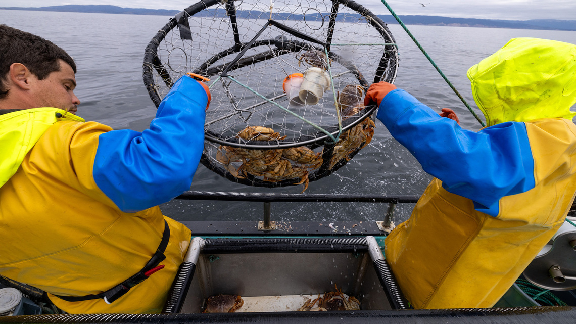 Record-breaking El Niño could gut California's crab and salmon fleets 