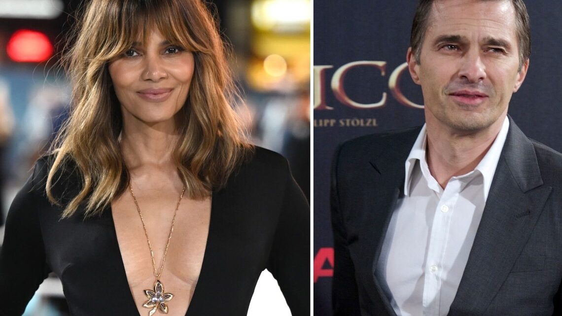 Halle Berry Asks Court to Restore Custody Agreement, Says Ex Influences Son 