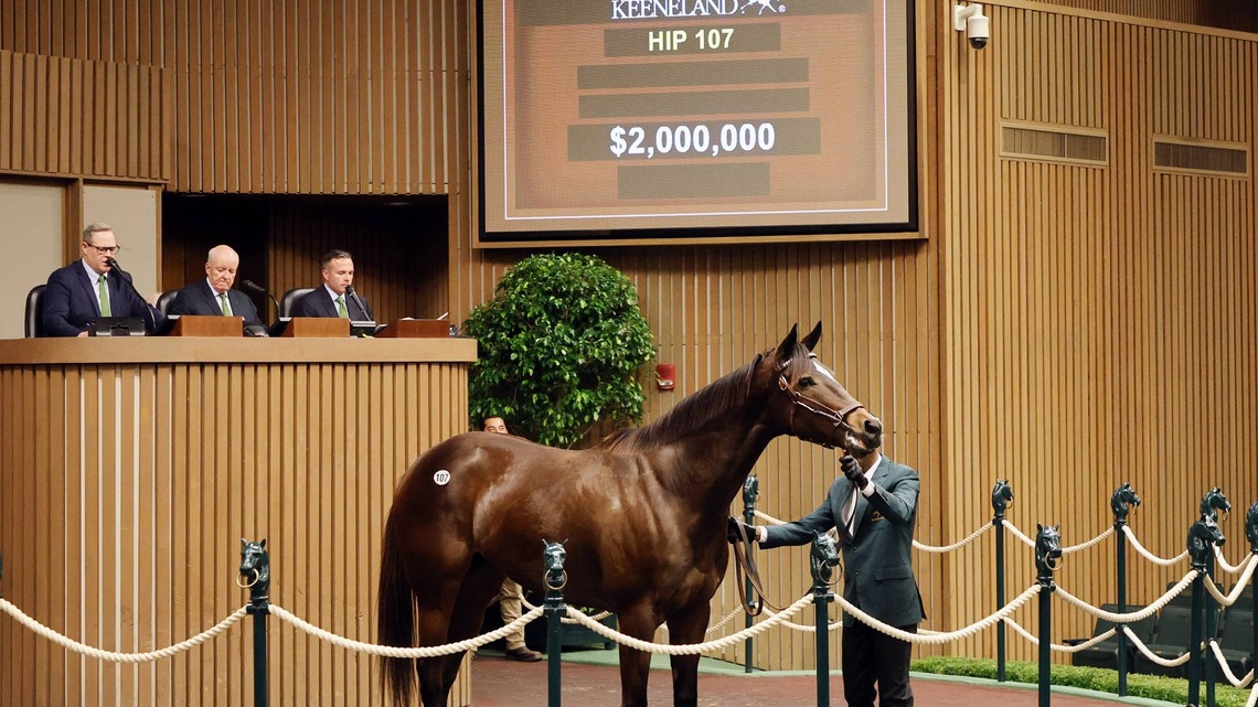 Keeneland Catalogs 3,397 Horses For 2026 November Breeding Stock Sale 