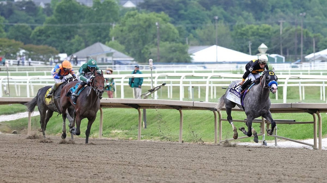 Napoleon Solo 'More Focused' Ahead Of Breeders' Cup 