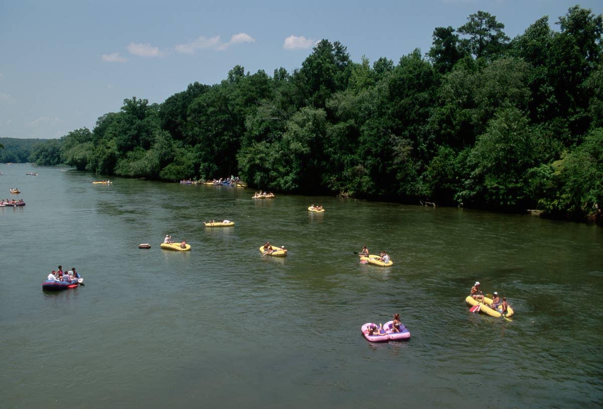  The Chattahoochee River is a snake hotspot in Georgia.