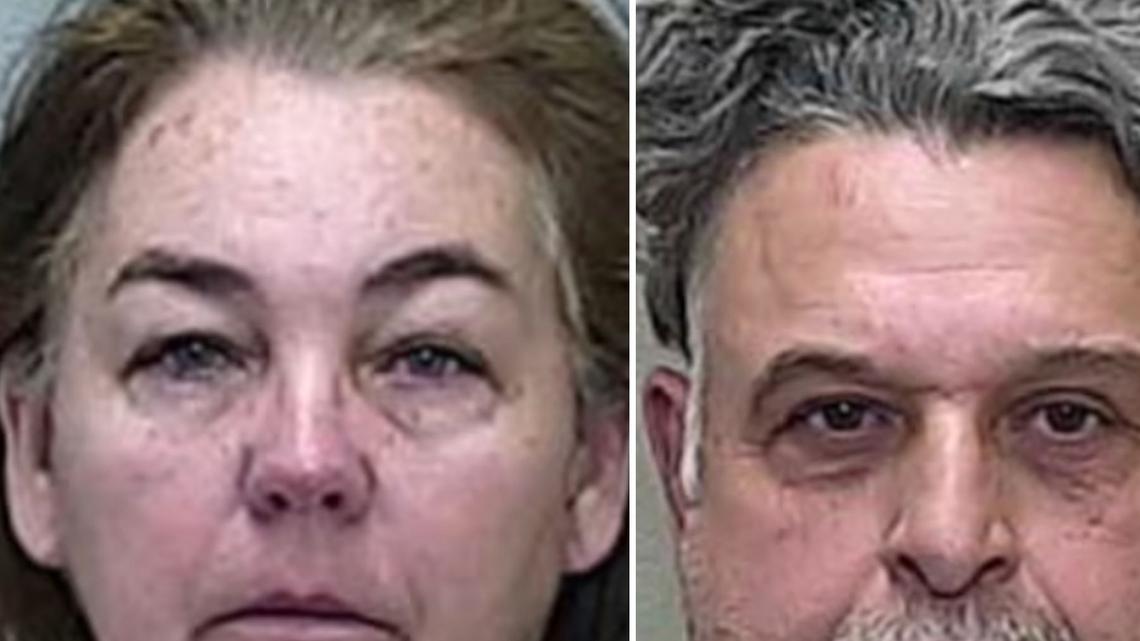 Florida Horse 'Rescue' Owners Arrested After 69 Animals Found Abused 