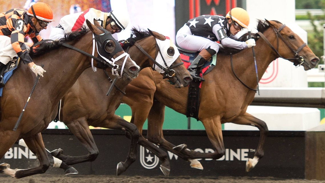 ‘As Game As They Come': Lupa Seeks First Graded Win In Ontario Matron 