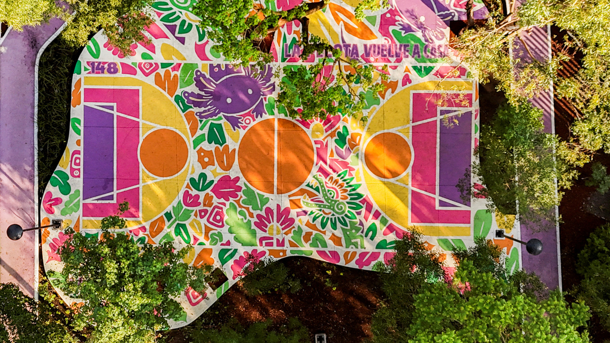 FILE PHOTO: A drone view shows a sports court painted with an image of the critically endangered axolotl, a salamander native to central Mexico's lakes, as its use in public imagery ahead of the FIFA World Cup 2026 has divided residents who say more should be done to protect its habitat, in Xochimilco, Mexico City, Mexico, May 20, 2026. REUTERS/Raquel Cunha/File Photo