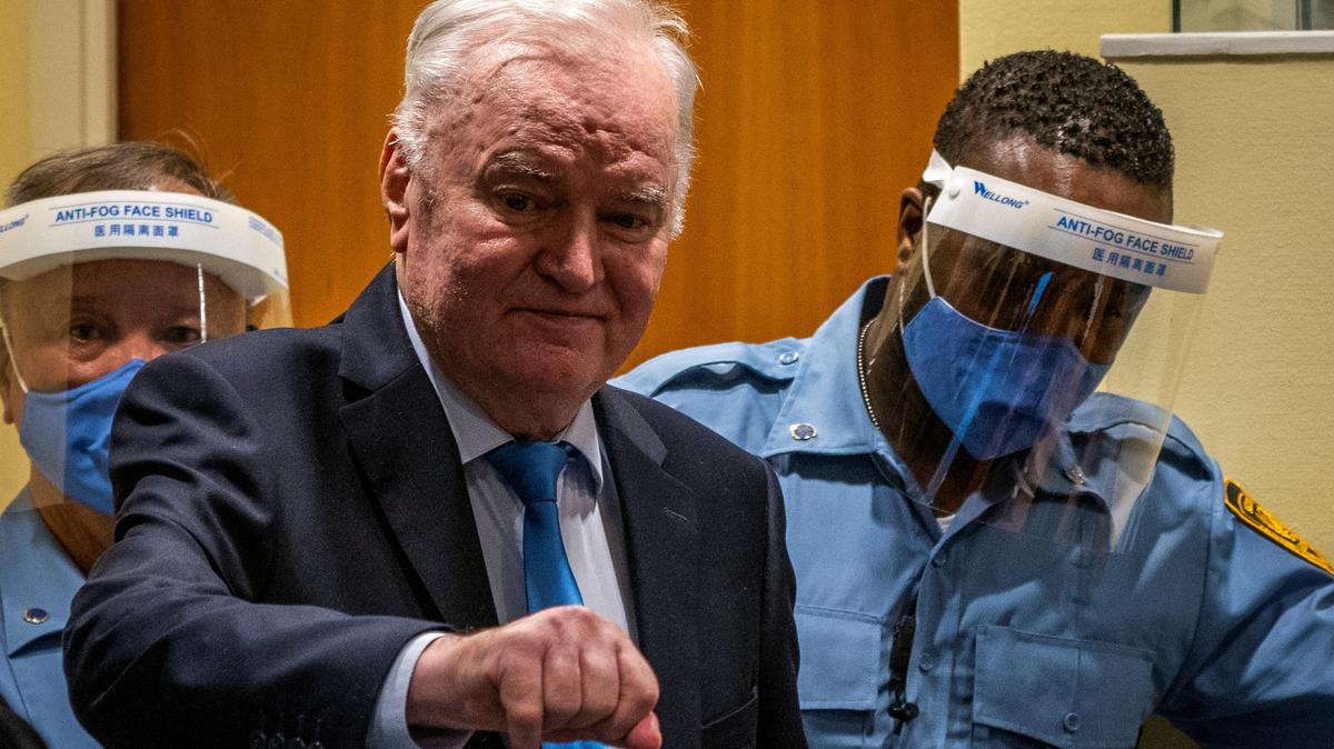 Former Bosnian Serb military leader Ratko Mladic stands prior to the pronouncement of his appeal judgement at the UN International Residual Mechanism for Criminal Tribunals (IRMCT) in The Hague, Netherlands June 8, 2021. Jerry Lampen/Pool via REUTERS/File Photo