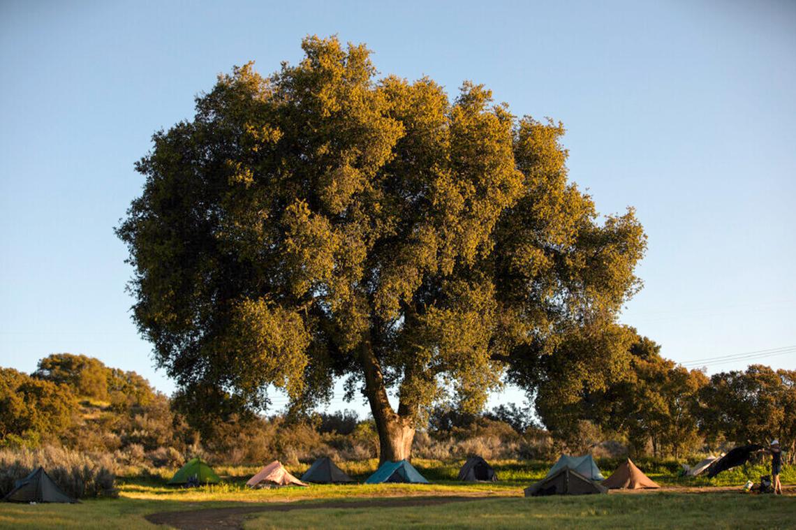 Ana Ramirez/The San Diego Union-Tribune/TNS