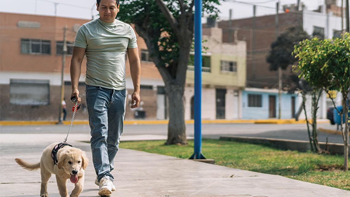 
        Camine más para estresarse menos: Muévase para mejorar su bienestar
       