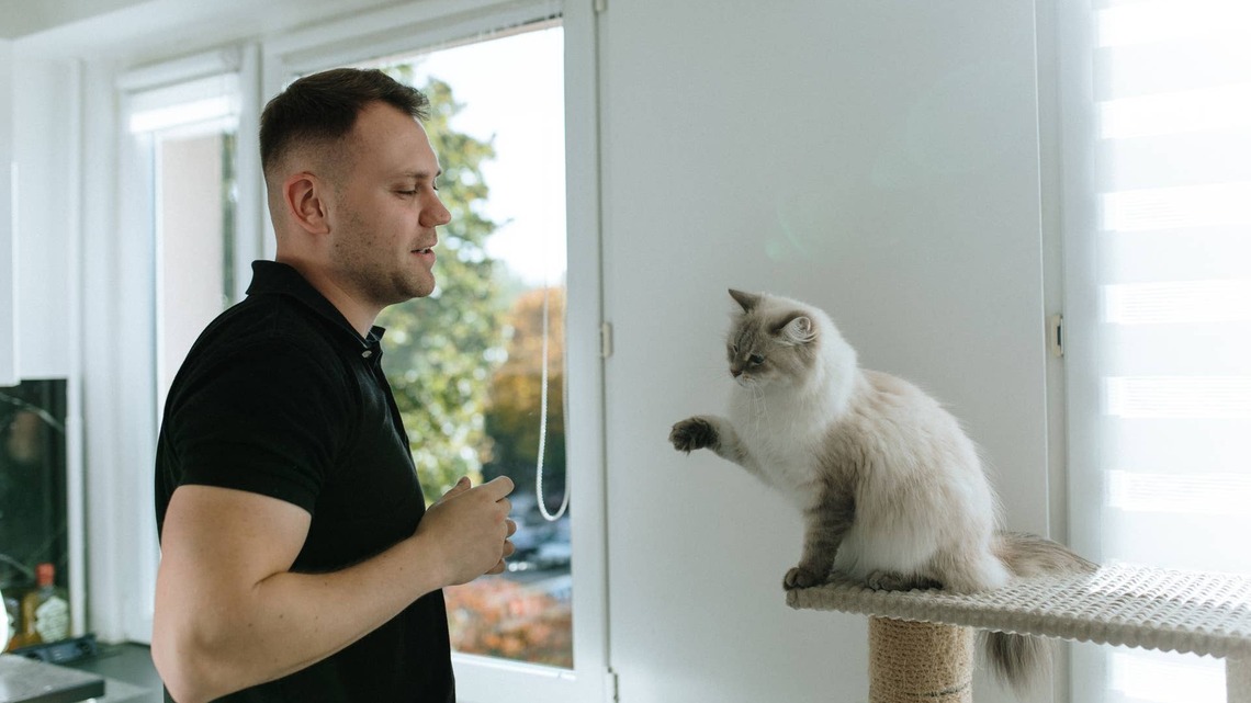 Siberian Cat Rivals Dad in Tai Chi Workout Like a Champ 