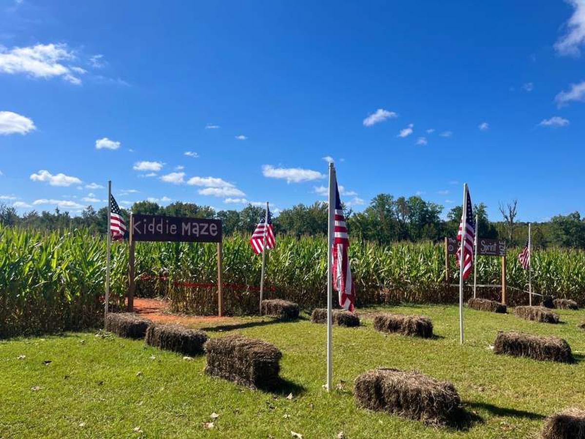  Corn maze at Strawberry Hill USA. Photo credit: Sarah Burnett 