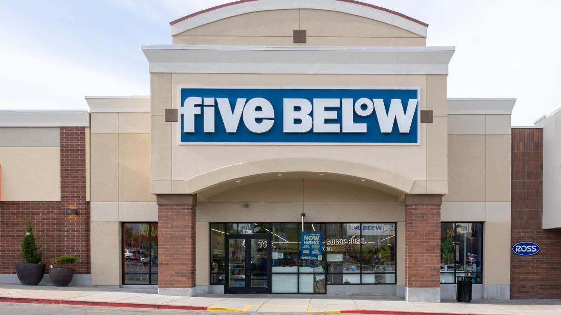 Five Below's Breathable Pet Carrier Makes Travel Easier for You and Your Pet 