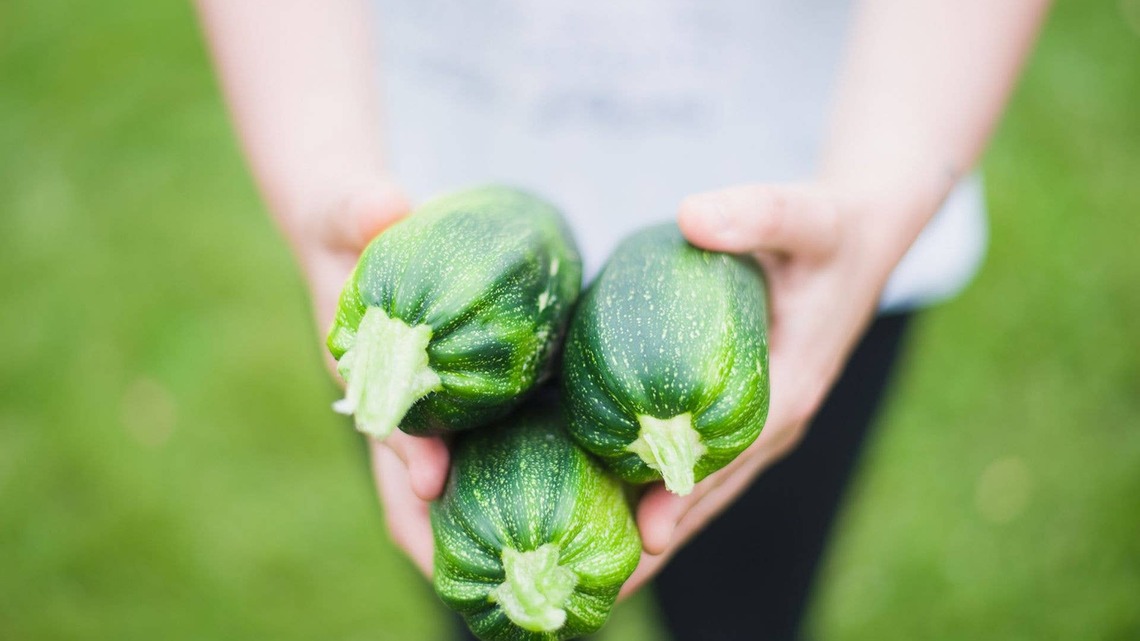 National Sneak Some Zucchini Onto Your Neighbor's Porch Day Is August 8 