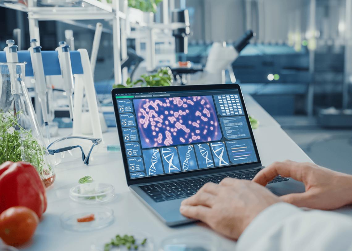  Gorodenkoff // Shutterstock 