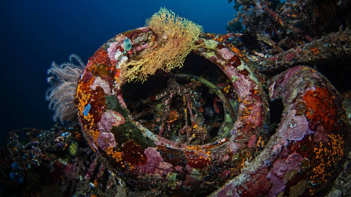 In 1972, Florida fishermen sank 2 million old tires off Fort Lauderdale to build a reef; it damaged the real reefs instead, and by 2009 only 73,000 had been recovered 