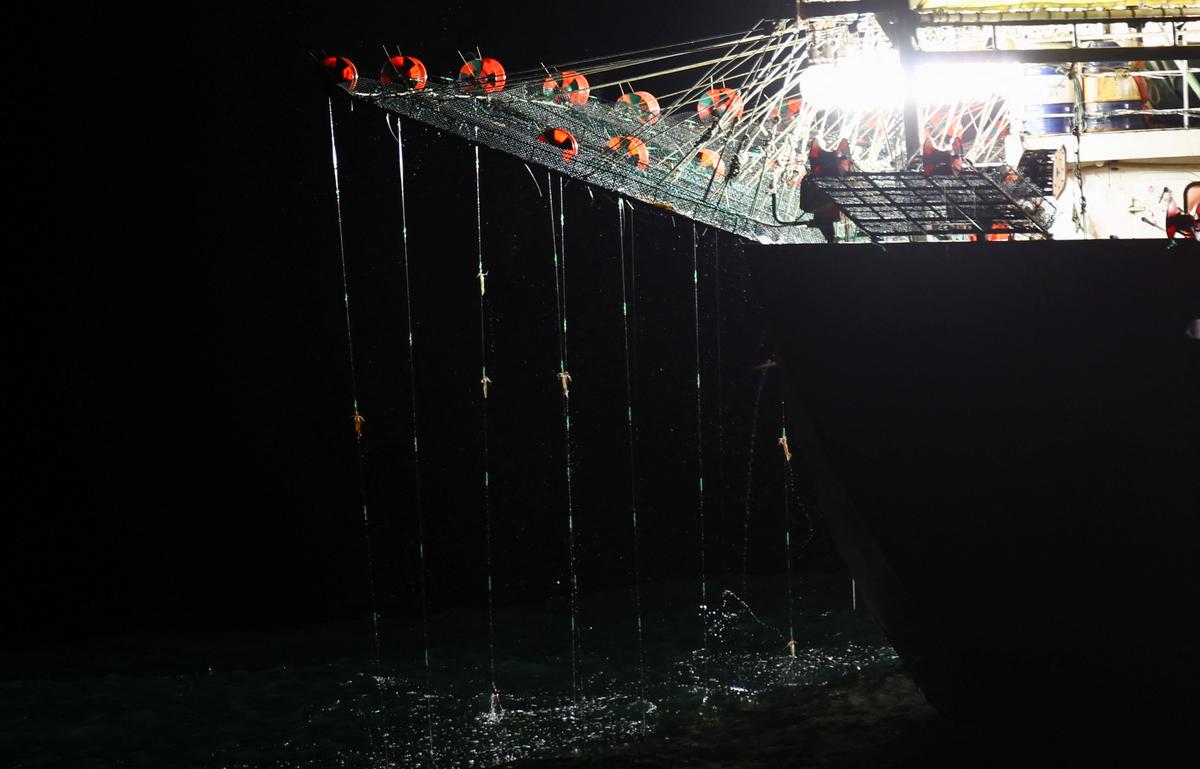Squid are pulled from the water on a squid jigger vessel, outside Argentina's exclusive economic zone, where foreign fishing vessels, mostly Chinese, operate just beyond the boundary, in the South Atlantic Ocean off the coast of Argentina, January 18, 2026. REUTERS/Agustin Marcarian