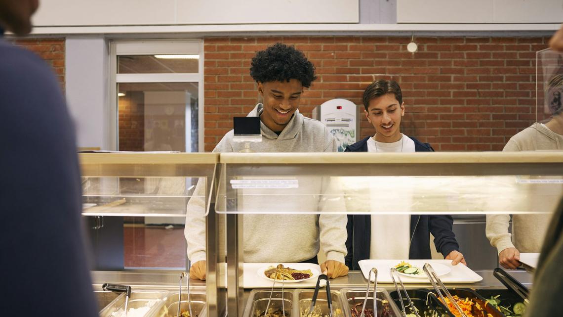 Irrational decision or helpful evolutionary adaptation? A philosopher on the rationality wars behind ‘nudge' policy 