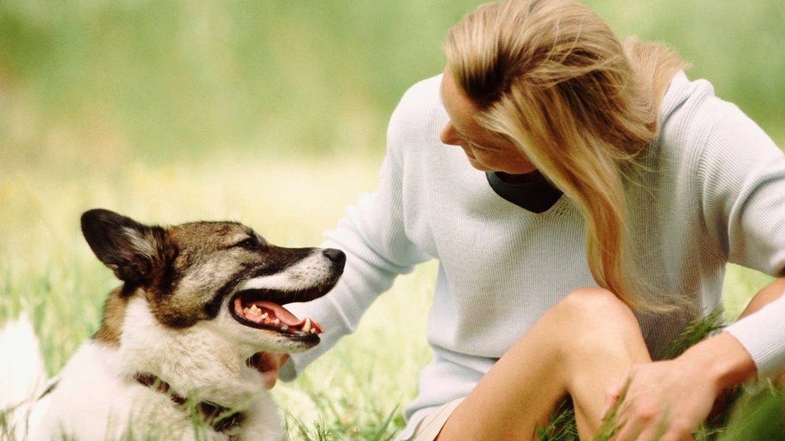 7 People-Oriented Dog Breeds That Were Born to Be Your Furry Best Friend, According to Experts 
